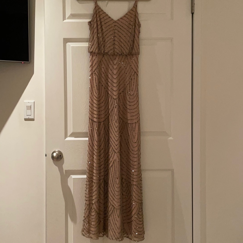 Adrianna Papelle Evening Dress Worm Once